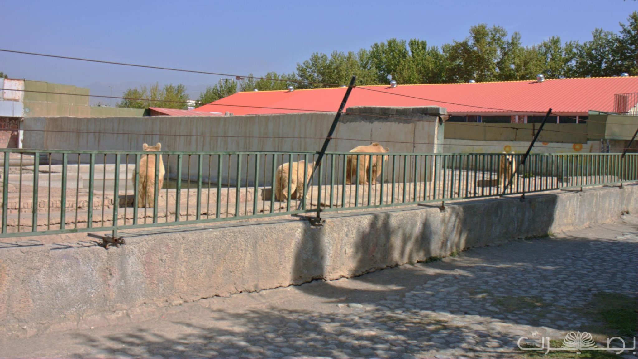 اردوگاه ایثار کردان تجربهای بهیادماندنی در دل طبیعت؛ اردوی تفریحی مدرسه بصیرت 4 مدرسه بصیرت